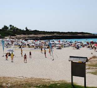 Strand von Cala en Bosc