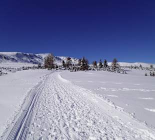 Villanderer Alm