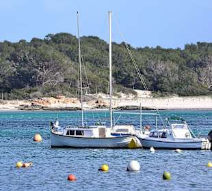 Hafen von Colonia Sant Jordi