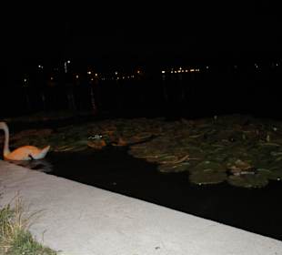 Lacul Neptun I