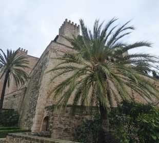 Königspalast