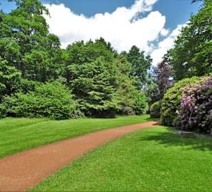 Sommeranfang im Schlossgarten Oldenburg