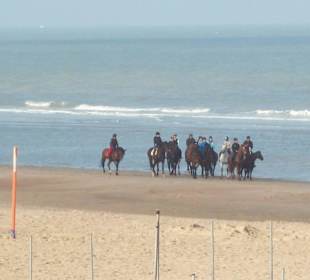Strand De Haan 