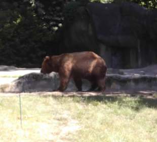 Tierpark Hagenbeck