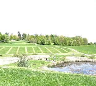 Garten Hohenheim