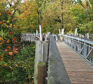 Impressionen vom Baumwipfelpfad Bad Iburg