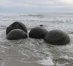 Weil es so schön ist - noch ein Bild