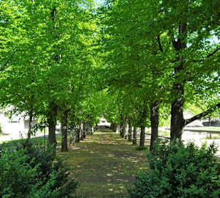Eindrücke vom Spaziergang durch den Stadtpark