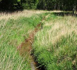 Eindrücke aus dem Stadtwald Oldenburg