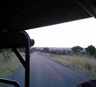 Krüger Nationalpark