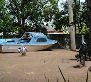 Feather Dale Wildlife Park