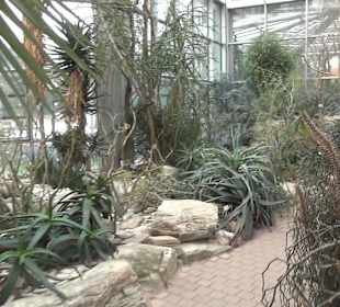Tropicarium - Trockentropen