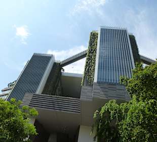 Unterwegs in Singapur mit dem Hop and Hop Bus