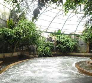 Weg der zweiten Wasserbahn