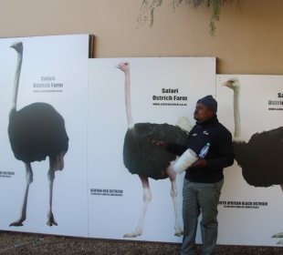 ....die Historie wird erklärt!