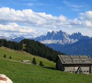 Auf dem Weg zum Königsanger