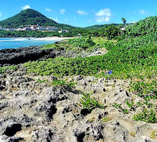 Wandern Kenting NP Chuanfan Rock (Segelfelsen)