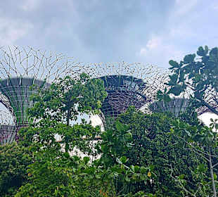 Gardens by the Bay