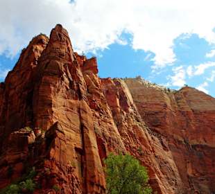 Zion NP