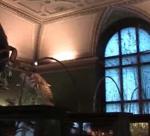 Naturhistorisches Museum