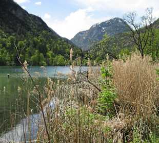 Am Thumsee