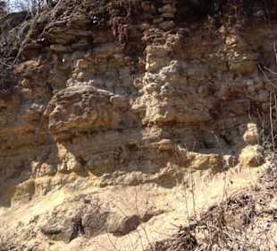 Geologischer Lehrpfad Kirnbachtal