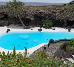 Fundacion Cesar Manrique