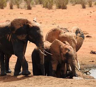 Tsavo-East-Nationalpark