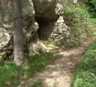 Wallersteiner Felsen