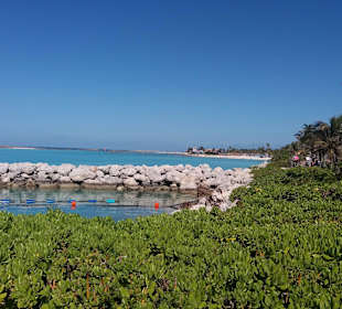 Castaway Cay