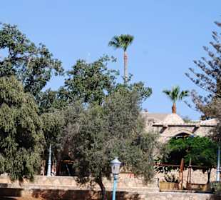 Blick auf das Kloster