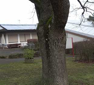 Tennisanlage Pliezhausen