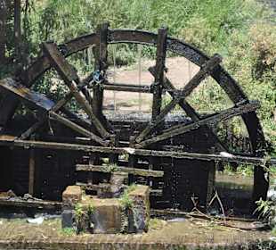 Wasserrad in Wadi Al-Hitan