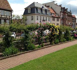 Wissembourg Juni '13