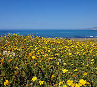Paphos