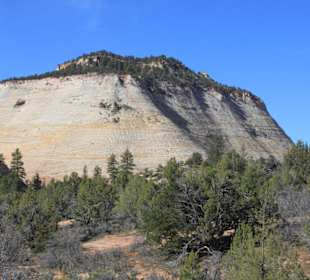 Checkerboard Mesa vor dem Zion Nationalpark