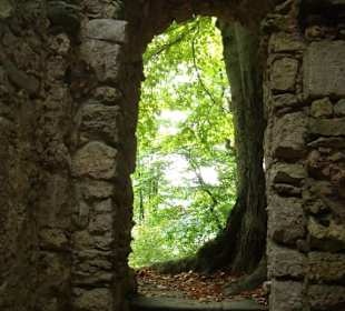 Das Ruinentheater