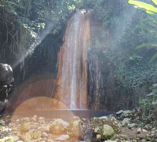 Diamond Waterfall im botanischen Garten