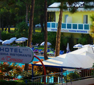 Hintere Bereich mit Pool