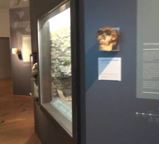 Niedersächsisches Landesmuseum