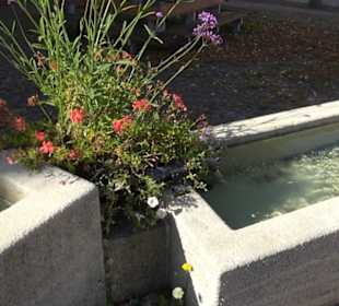 Dorfbrunnen Marienkirche Upfingen