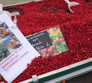Rundgang über die Salzburger Schranne
