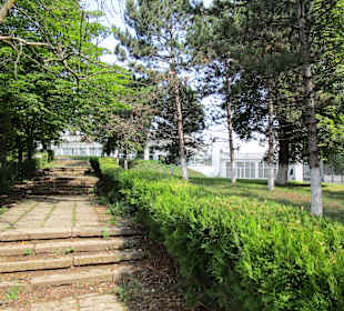 Cetatuia Park