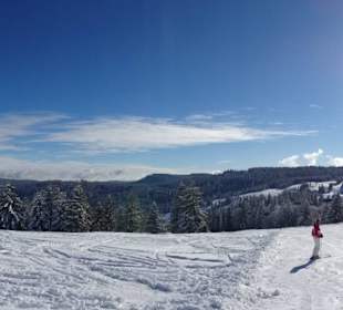 Feldberg