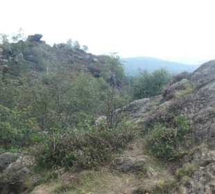 Wanderung am Silberberg