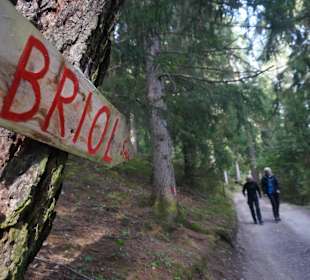 Auf der Wanderung hinauf