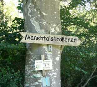 Waldameisen-LehrPfad