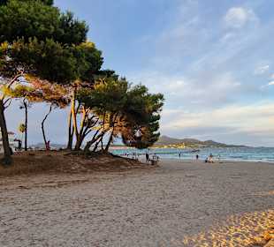 Strand Playa/Platja de Muro
