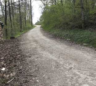 Wanderweg Hochgehswiggert