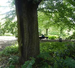 Parkanlage Planten un Blomen